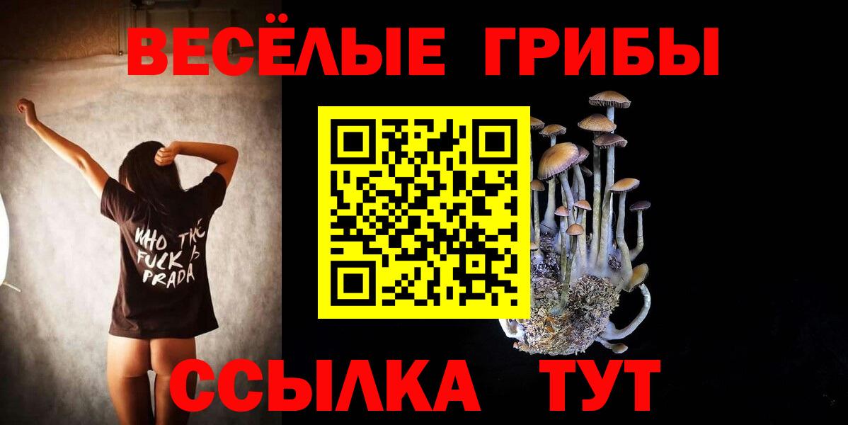 Галлюциногенные грибы прущие грибы  Вход с VPN  Псилоцибиновые грибы Cubensis  Артёмовский 
